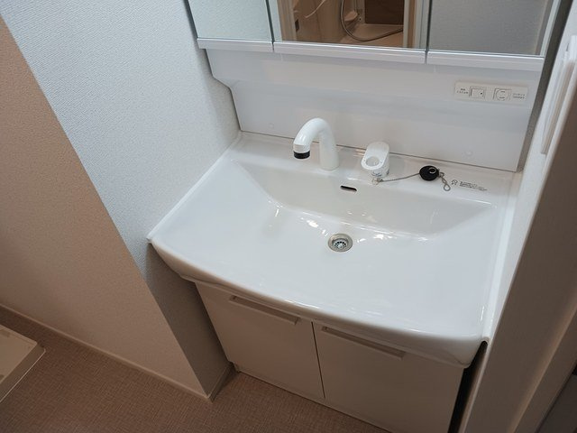 プラーム上田Ⅱの洗面所