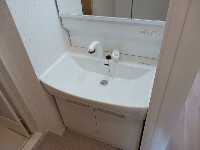 プラーム上田Ⅱの洗面所
