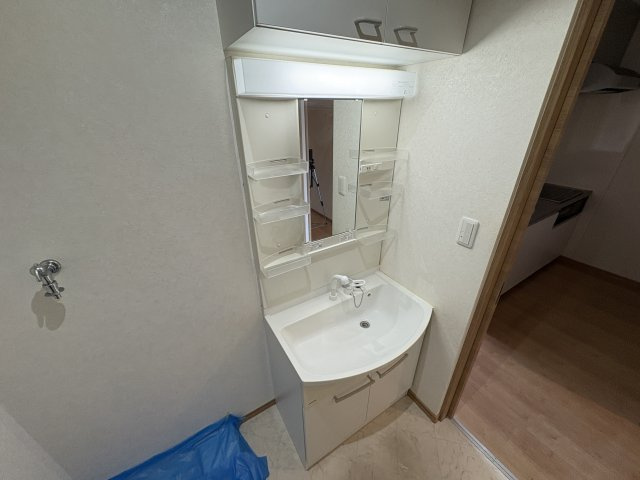 カーサヴィオーラの洗面所