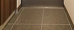 ガリシアグランデ江戸川橋の玄関