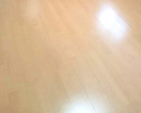 グランフォース浮間舟渡の内装
