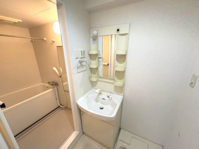 プレジール灘の洗面所