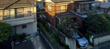 カインドネス井の頭公園の展望