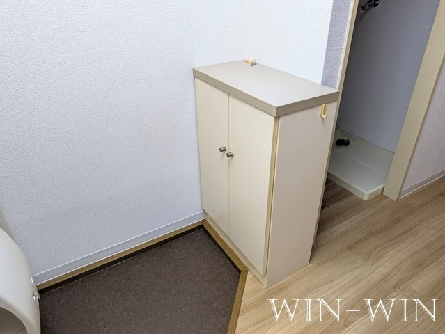 グリーンステージ藤沢の玄関|イメージ（同建物内別部屋の写真です）