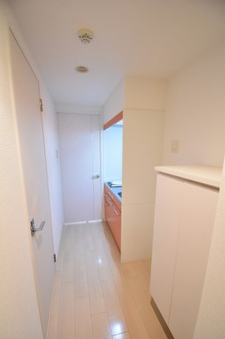 セレニテ本町ROJI02の玄関