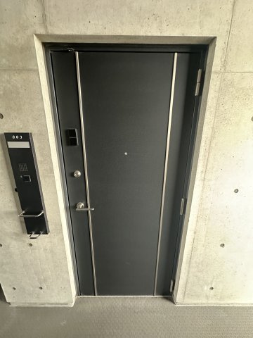 Casa ELEVATO II(カーサエレベート2)の玄関