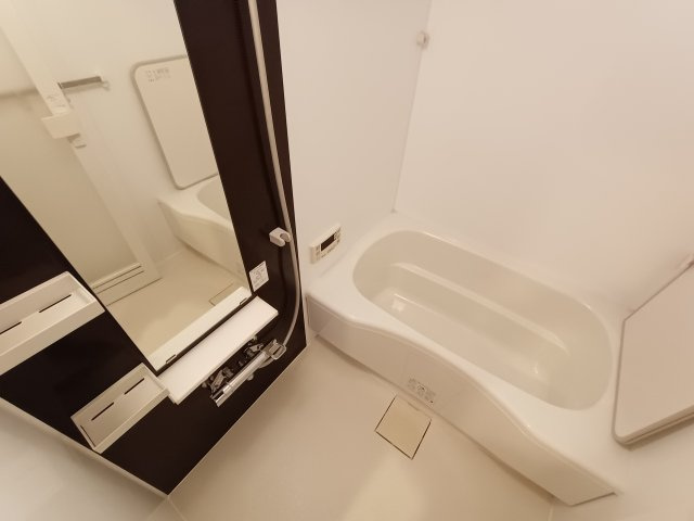 Casa ELEVATO II(カーサエレベート2)の浴室