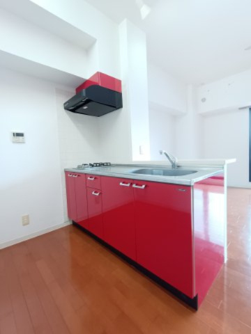 Casa ELEVATO II(カーサエレベート2)のキッチン