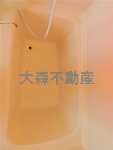 カレジ馬込の浴室