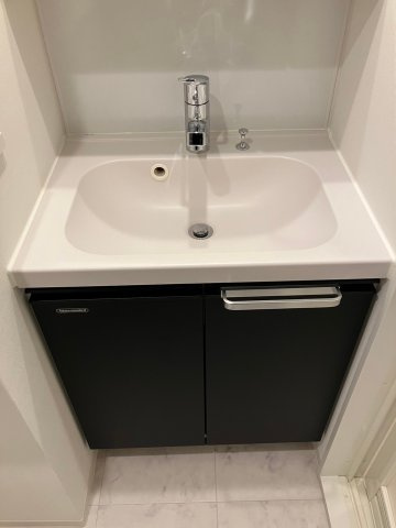 MAXIV蓮根DUEの洗面所