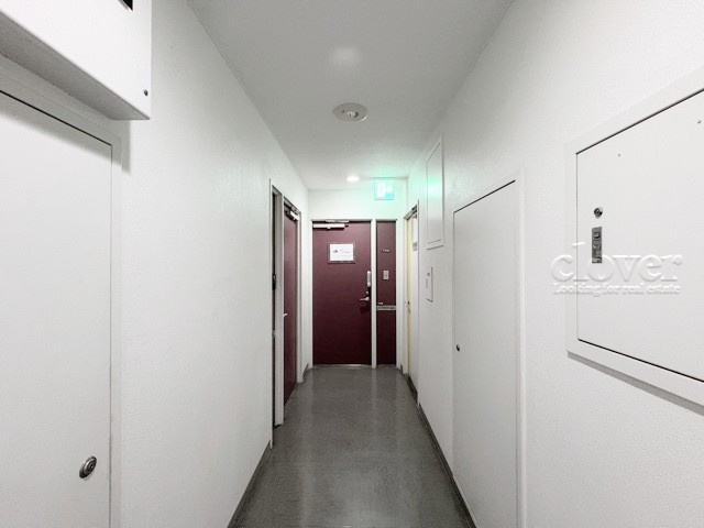 【その他共用部分】 | ドルミ代々木 | 共用廊下です。ここもきれいに清掃されています。周囲のお部屋の様子も、ぜひ伺ってみてください。～即日のご見学可能～　お問合せはお気軽にどうぞ。
