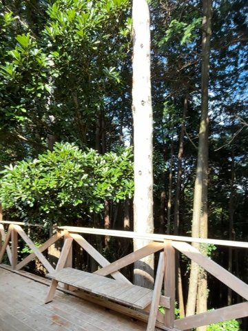 木々に囲まれたプライベート感のあるコンパクトハウスの展望