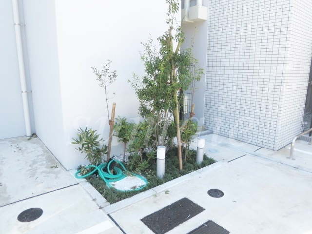 ベルグレード王子DUEのその他|植栽です☆