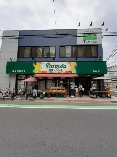 シャルフィーのその他