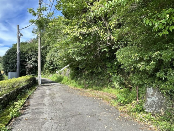 【前面道路含む現地写真】 | 伊豆・伊東ビレッジ分譲地　古家付土地