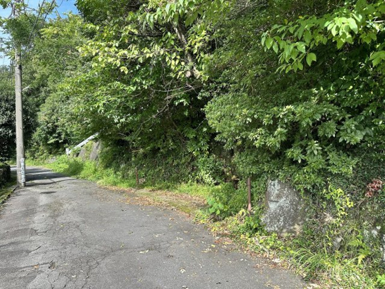 【前面道路含む現地写真】 | 伊豆・伊東ビレッジ分譲地　古家付土地