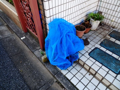 【その他共用部分】 | ハイツ志村