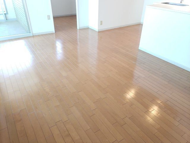 LANAI T GADENのその他