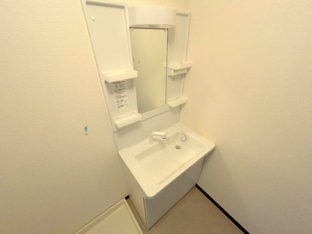 パレス東洋小松館の洗面所