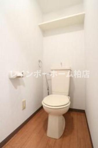 特典：仲介手数料が50％OFFです‼のトイレ|コンパクトで使いやすいトイレです