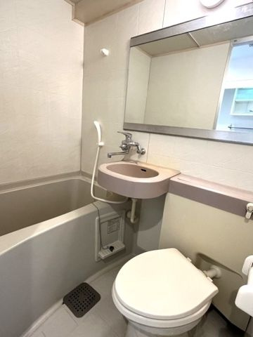 ローズマンションＡ６９番館(A-069)の洗面所
