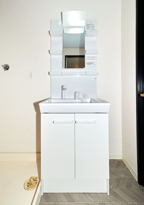 【独立洗面台】 | ピュア・プルーン | 洗髪洗面化粧台