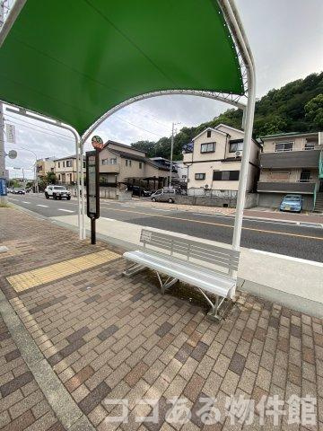 アリッサムの周辺