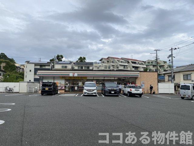 アリッサムの周辺