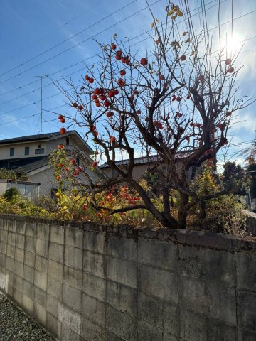 大きな家庭菜園・庭付（一部リフォーム）黒磯戸建の庭