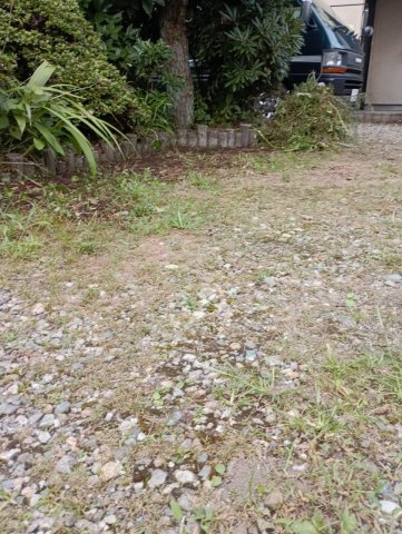 大きな家庭菜園・庭付（一部リフォーム）黒磯戸建の庭