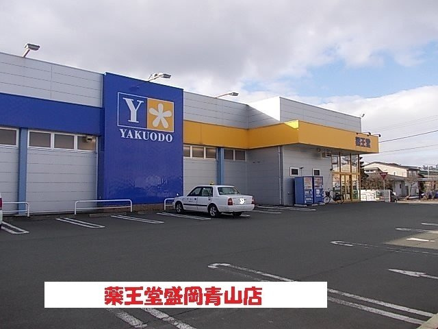 アリエッタ　Ａの周辺|薬王堂盛岡青山店まで800m