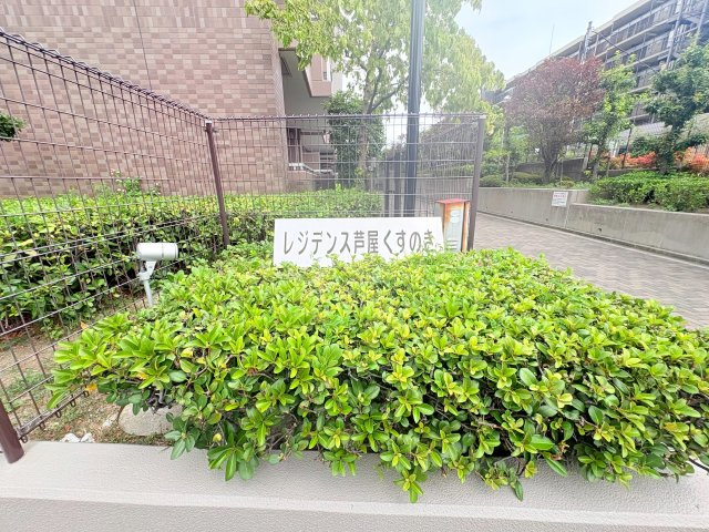 レジデンス芦屋くすのきの庭|緑も多く、植木はきちんと管理されてますので気持ち良くお過ごししていただけます♪