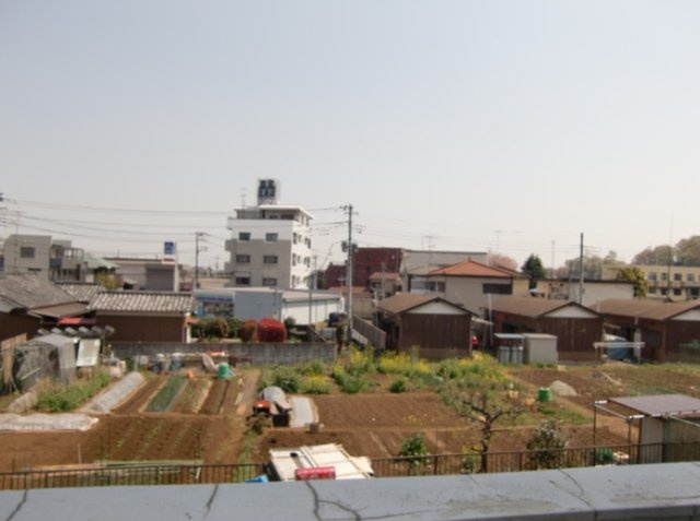 石井マンションピーコックの展望