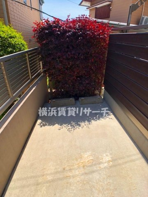 | シェルティー菊名