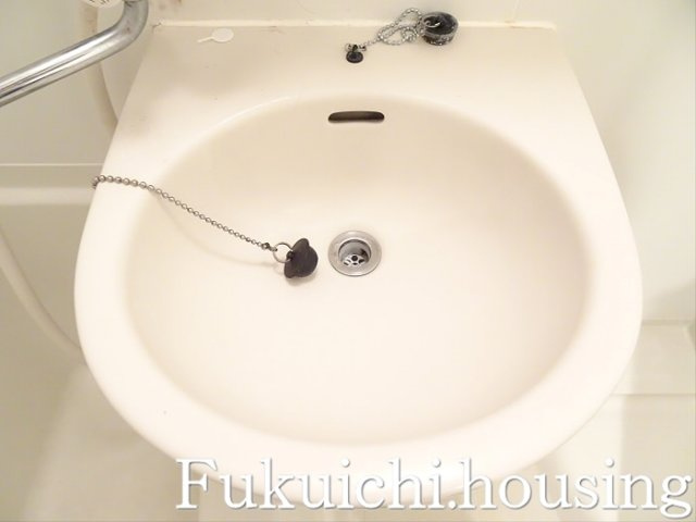パレ・ホームズ永福町の洗面所