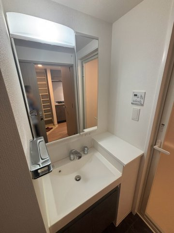 S-RESIDENCE新宿早稲田avelisの洗面所