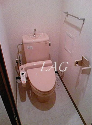 【トイレ】 | ダイアパレスグランデージ日本橋 | トイレです。