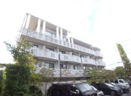 市川市市川南４丁目のマンションの画像