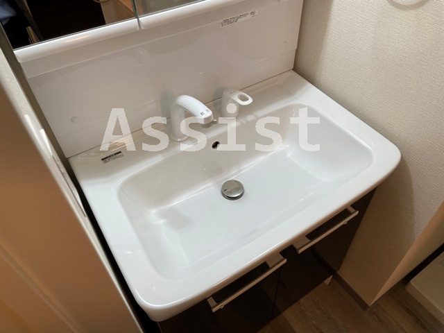 ロータス武蔵小山Ⅳの独立洗面台