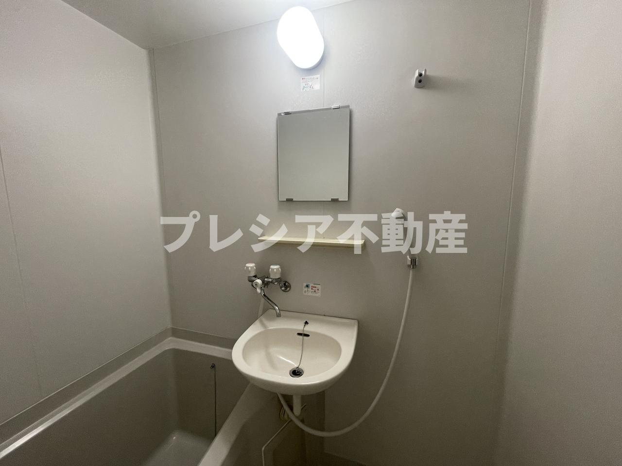 ラッキータウン 2番館の洗面所