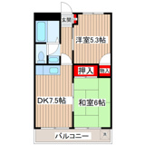 葛飾区奥戸３丁目のマンションの画像