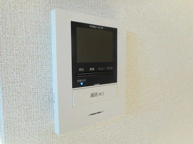 ロシュ　ミニヨンのセキュリティ