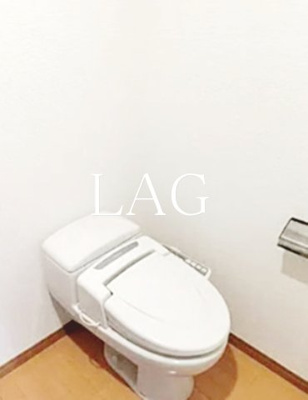 【トイレ】 | ベルダ・ビレッジオⅥ | トイレです。