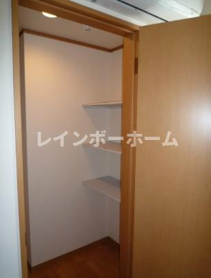 グリーンソレアードの収納|小物を収納するのに便利です