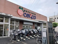 ceRcaまで511m