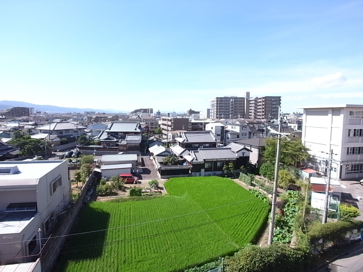 プラウクリエイトの展望