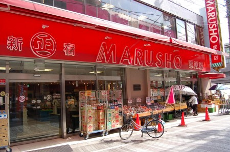 プログレス野方の周辺|マルショウ　スーパー