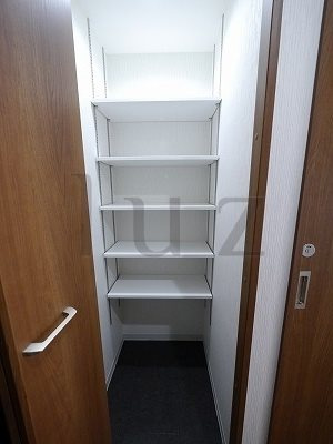 川崎市川崎区池田１丁目の賃貸マンションの収納