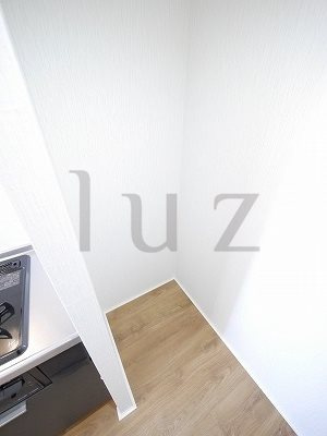 川崎市川崎区池田１丁目の賃貸マンションの内装