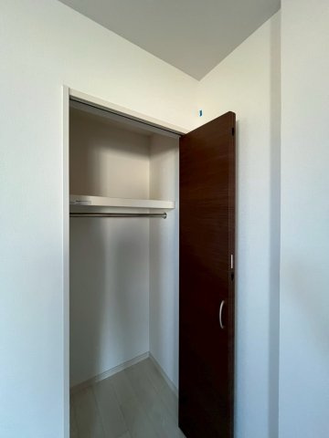 FaseciaPhanesの収納
